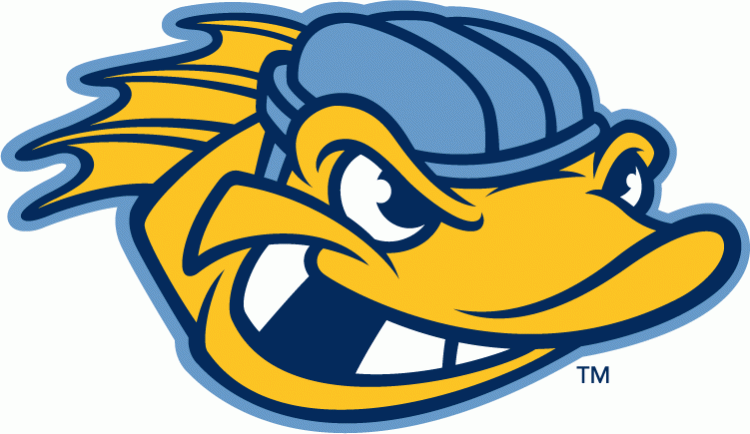 toledo walleye 2009-pres alternate logo v4 iron on transfers for T-shirts